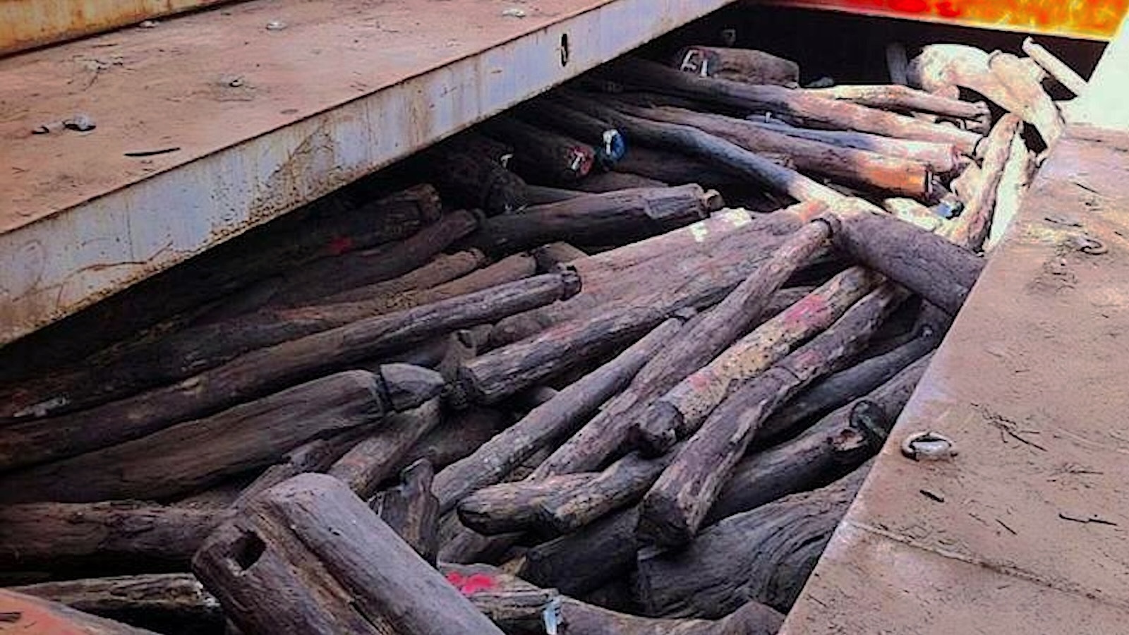 How Traffickers Obtained Away with the Biggest Rosewood Heist in Historic previous
